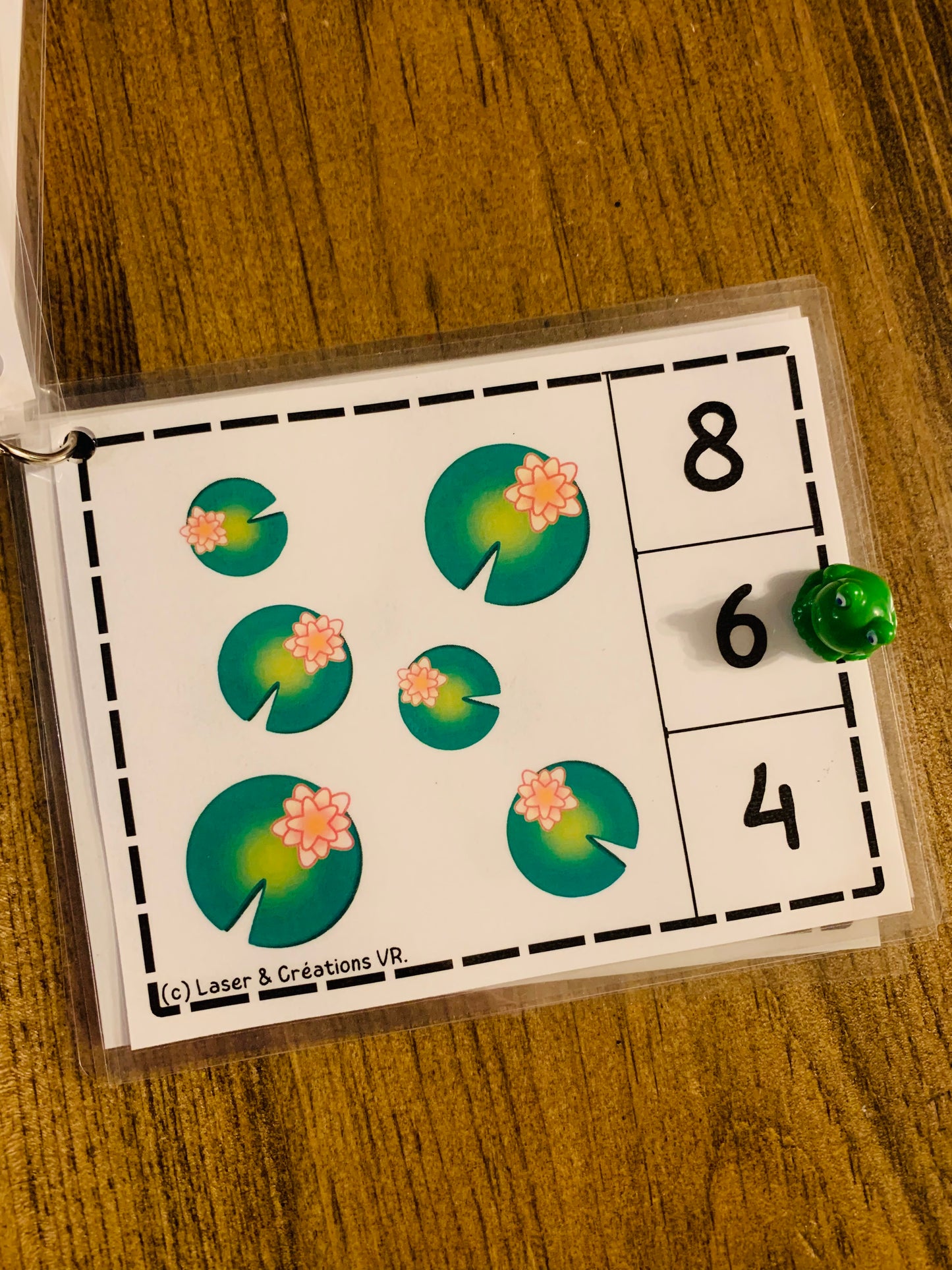 Bac sensoriel : Les grenouilles
