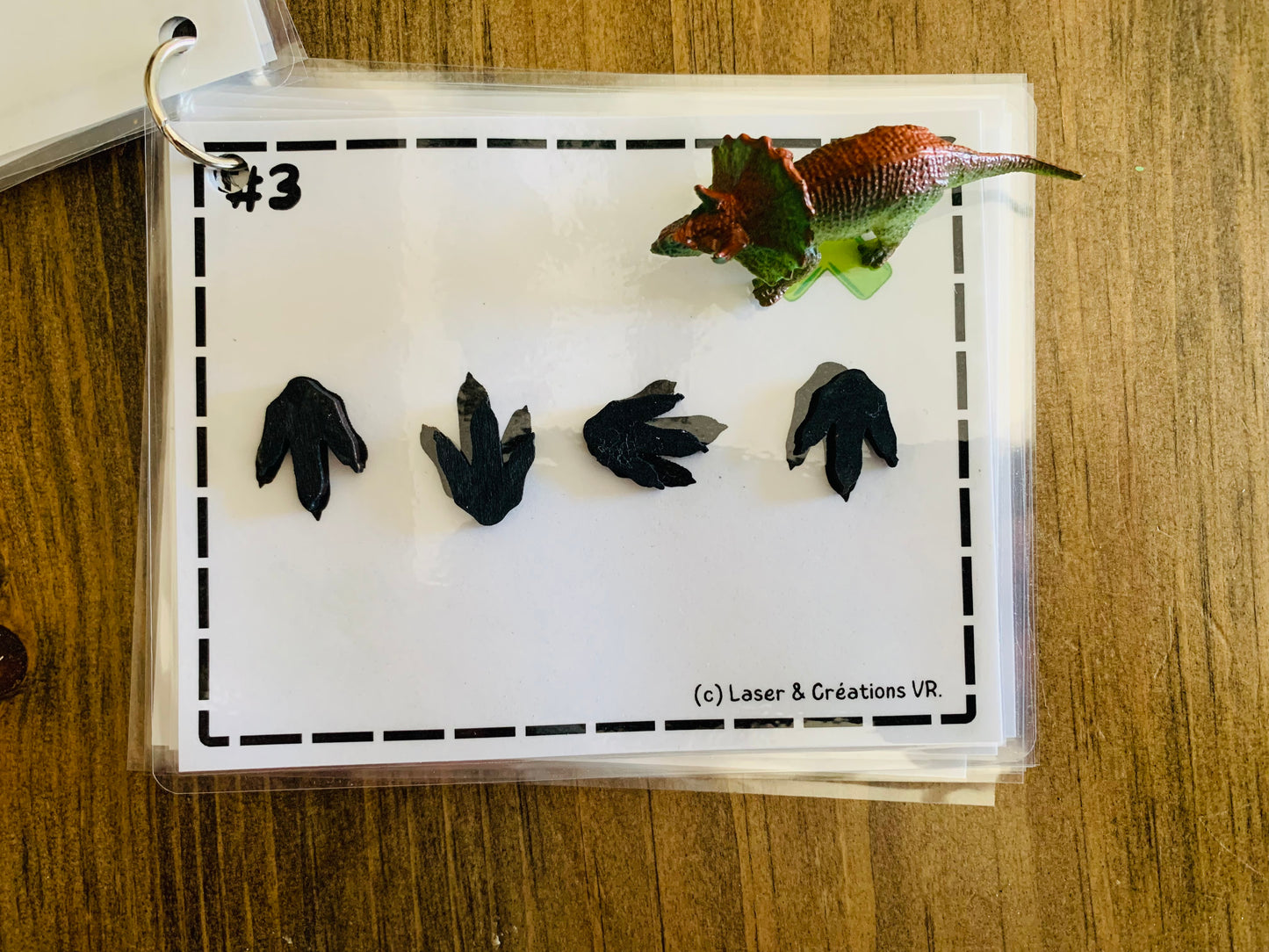 Activité : Les traces du dinosaure