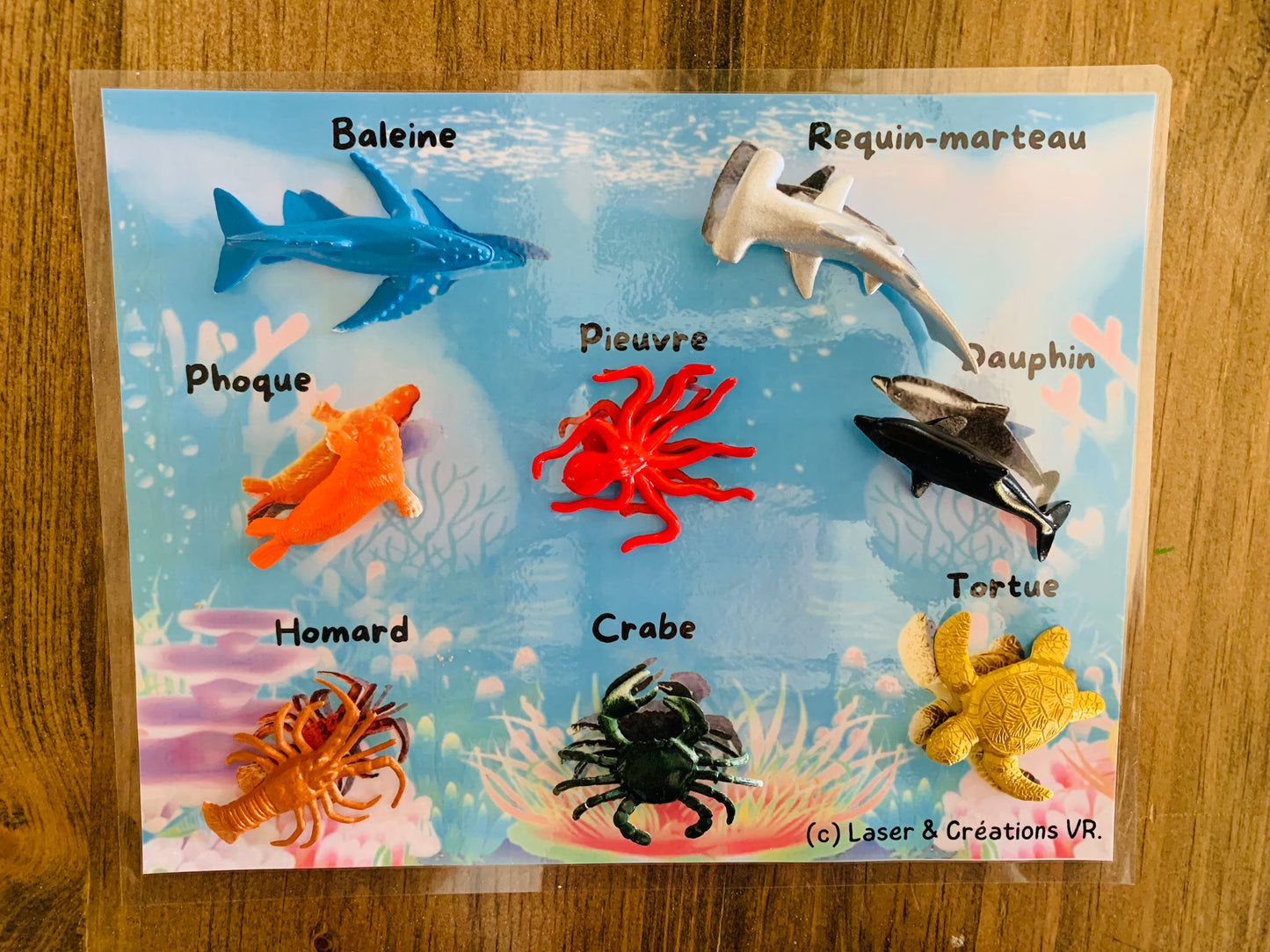 Bac sensoriel : Les fonds marins