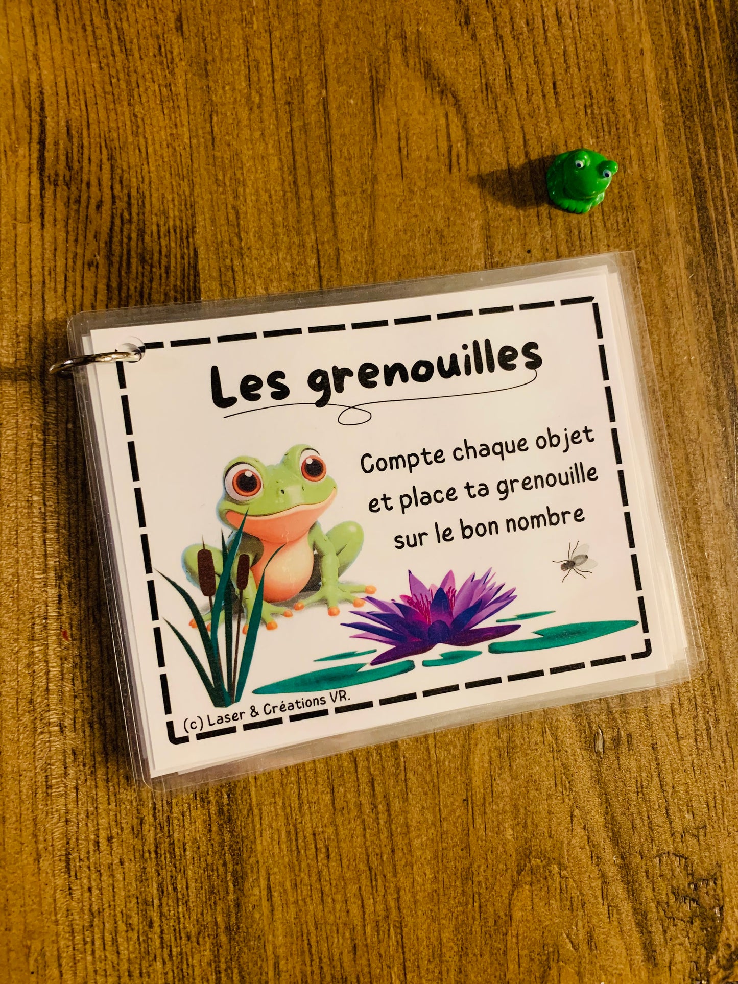 Bac sensoriel : Les grenouilles