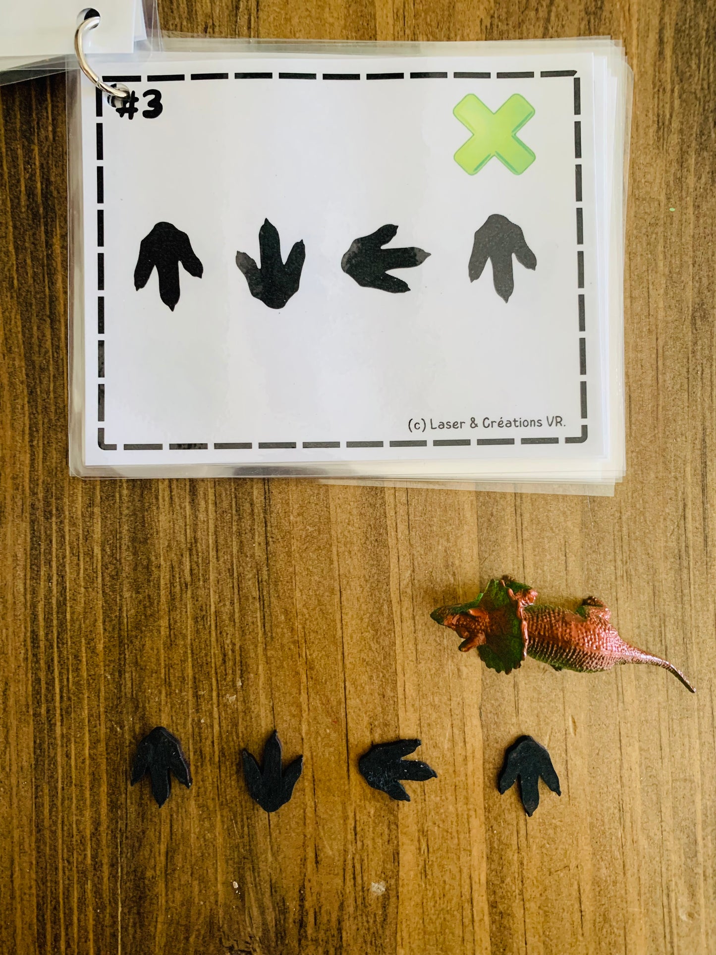 Bac sensoriel : Les dinosaures