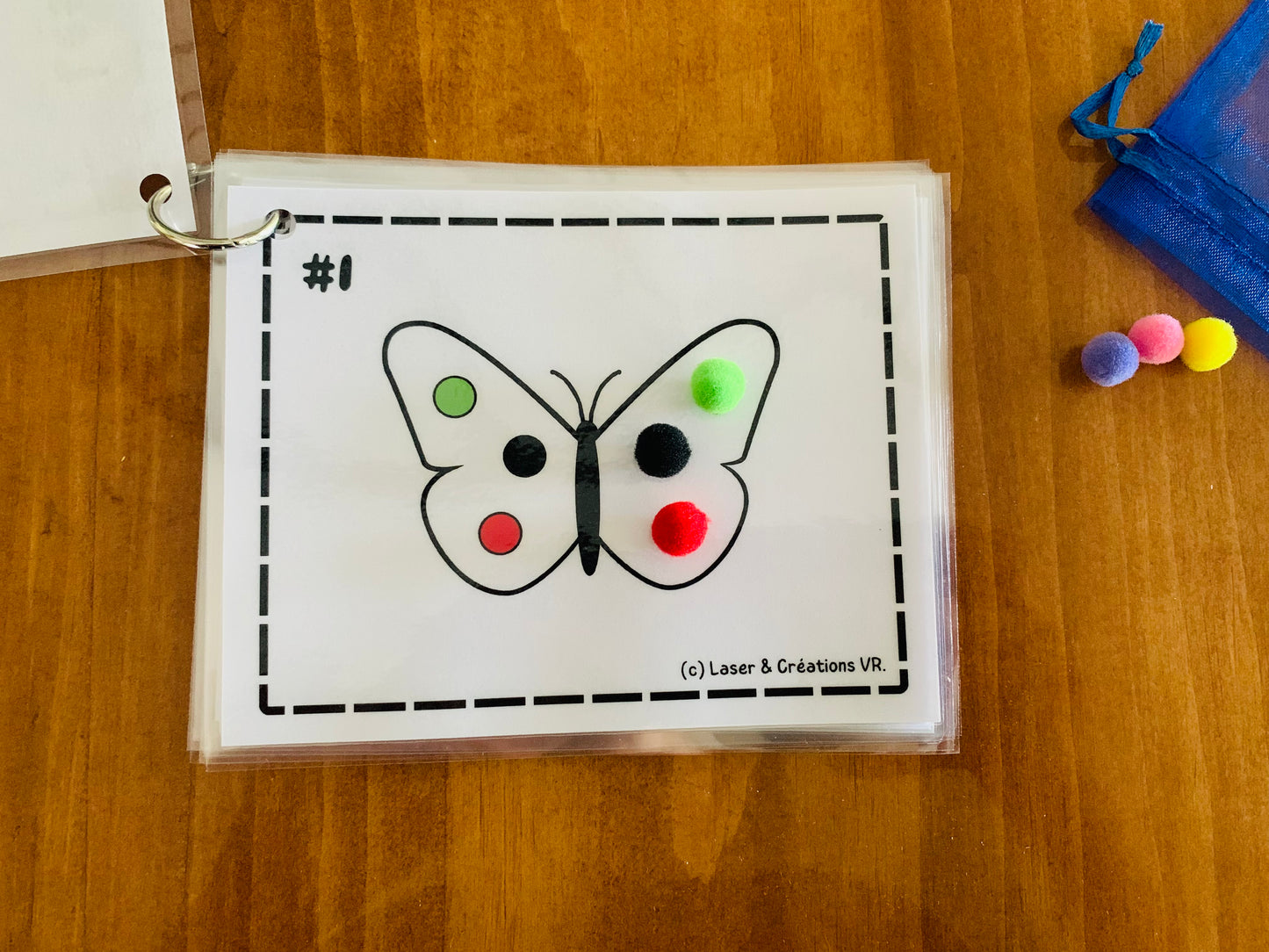 Activité : La symétrie des papillons