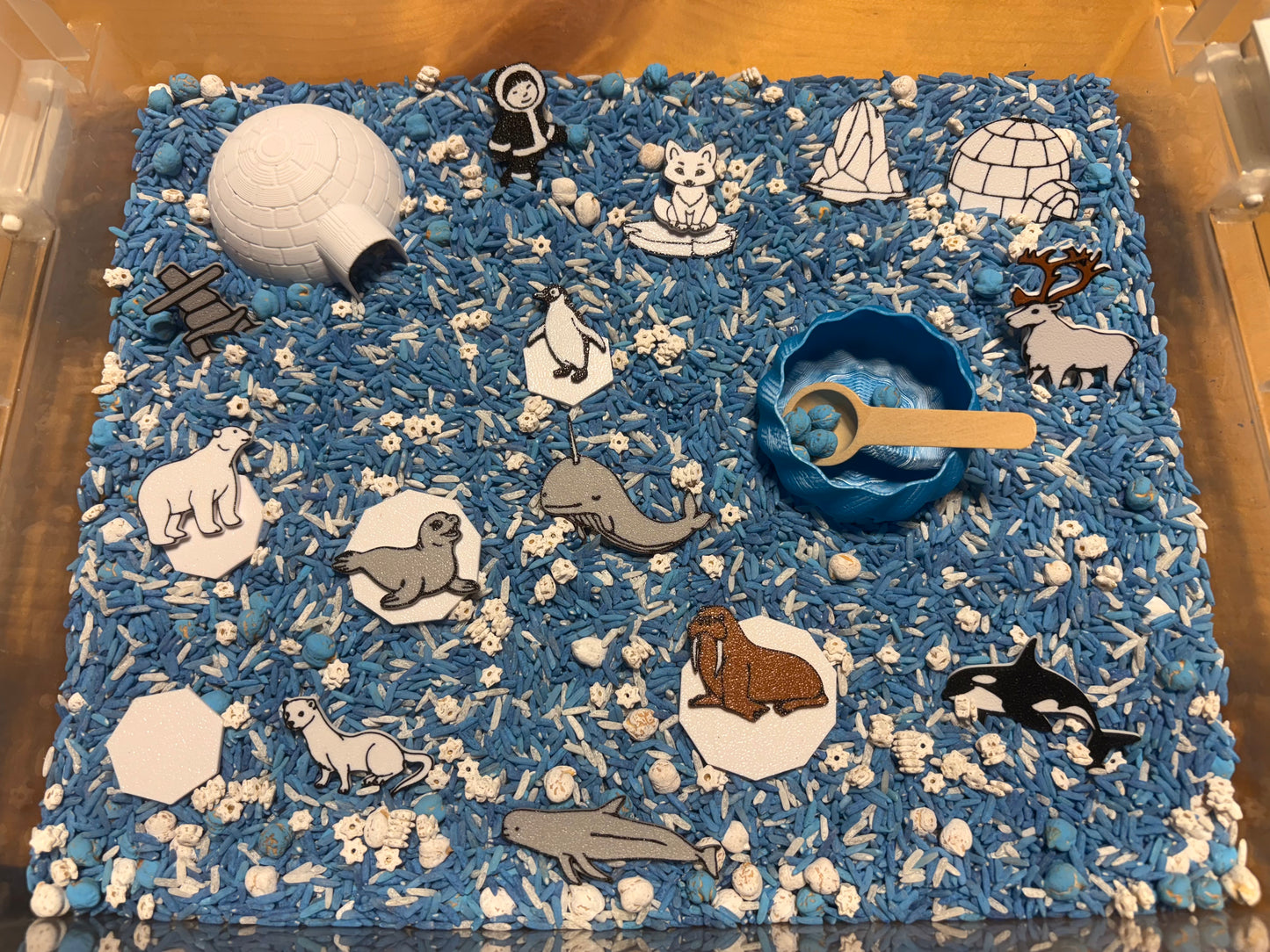 Bac sensoriel : Monde polaire