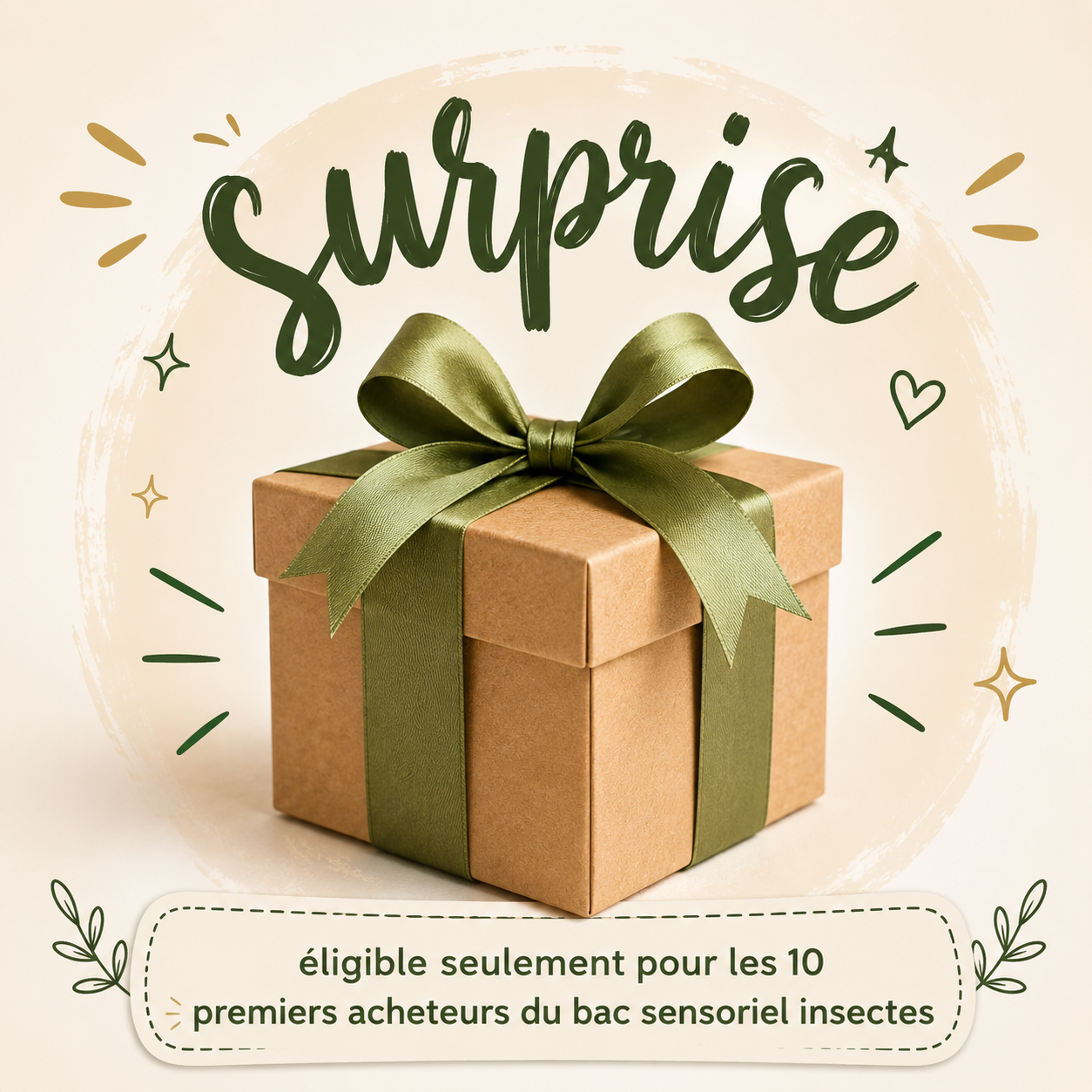Thématique : Insectes