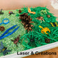 Bac sensoriel : Les insectes
