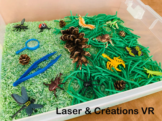 Bac sensoriel : Les insectes