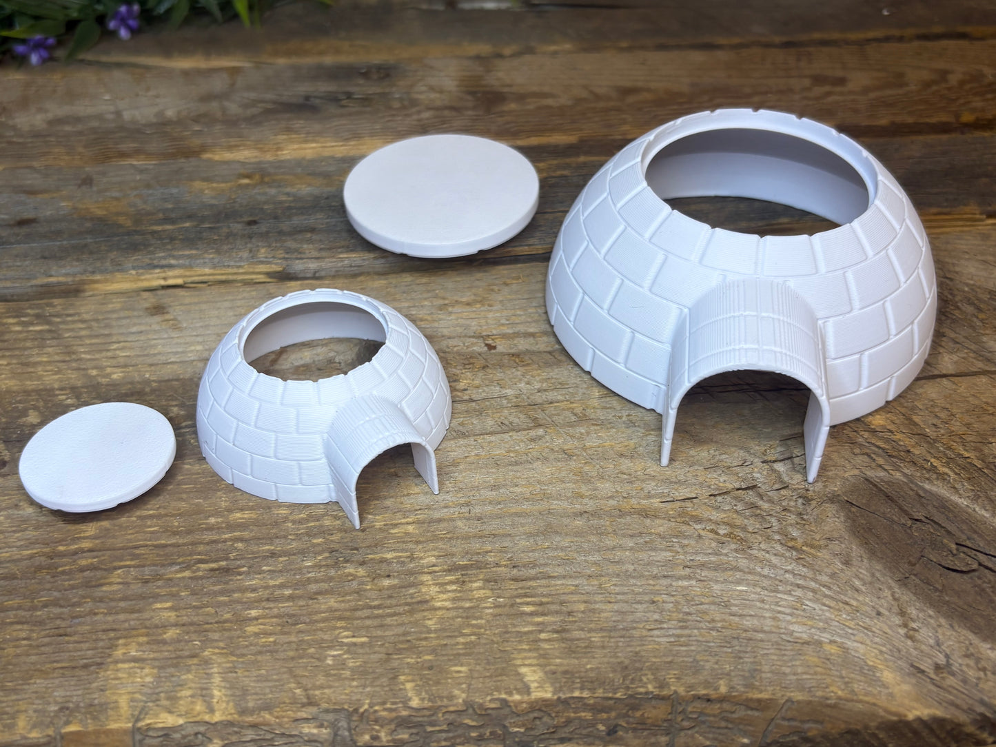 Objets du monde polaire