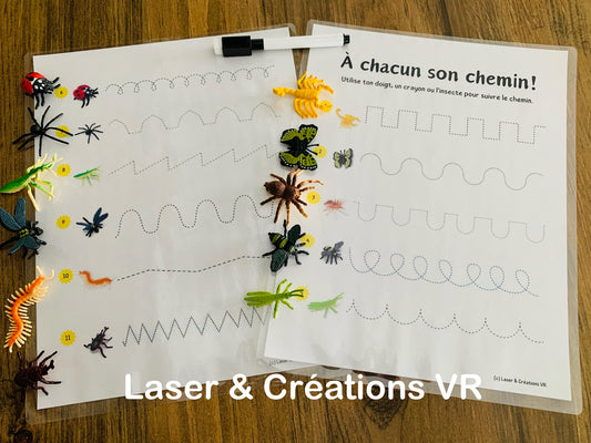 Activité : Les insectes