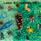 Bac sensoriel : Les insectes