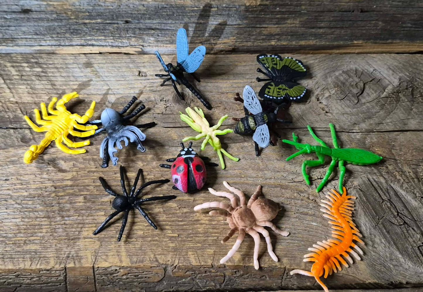 Matériel thématique insectes