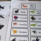 Matériel thématique insectes