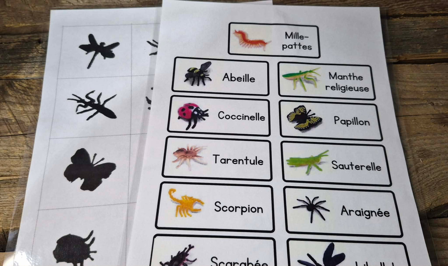 Matériel thématique insectes