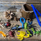 Matériel thématique insectes