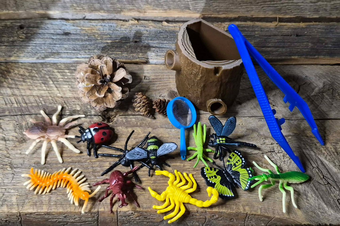 Matériel thématique insectes