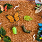 Bac sensoriel : Les papillons