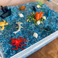 Bac sensoriel : Les fonds marins