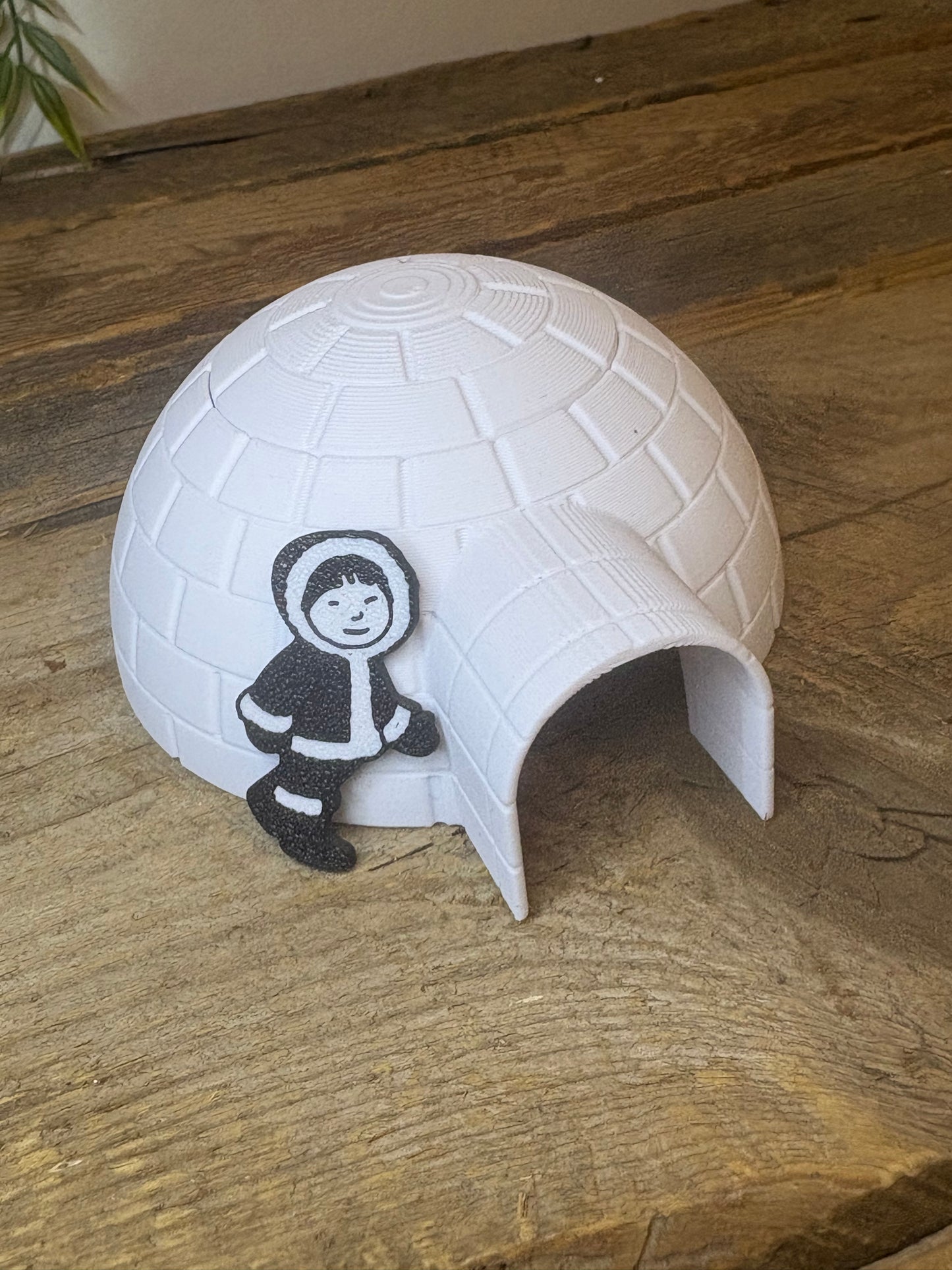 Objets du monde polaire