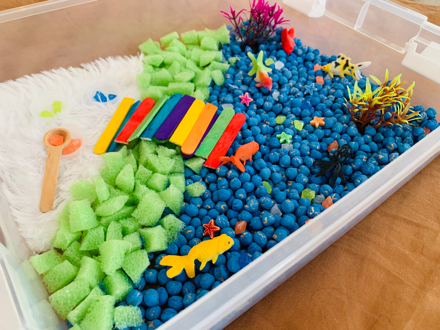 Bac sensoriel : Les poissons