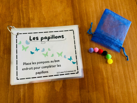 Activité : La symétrie des papillons