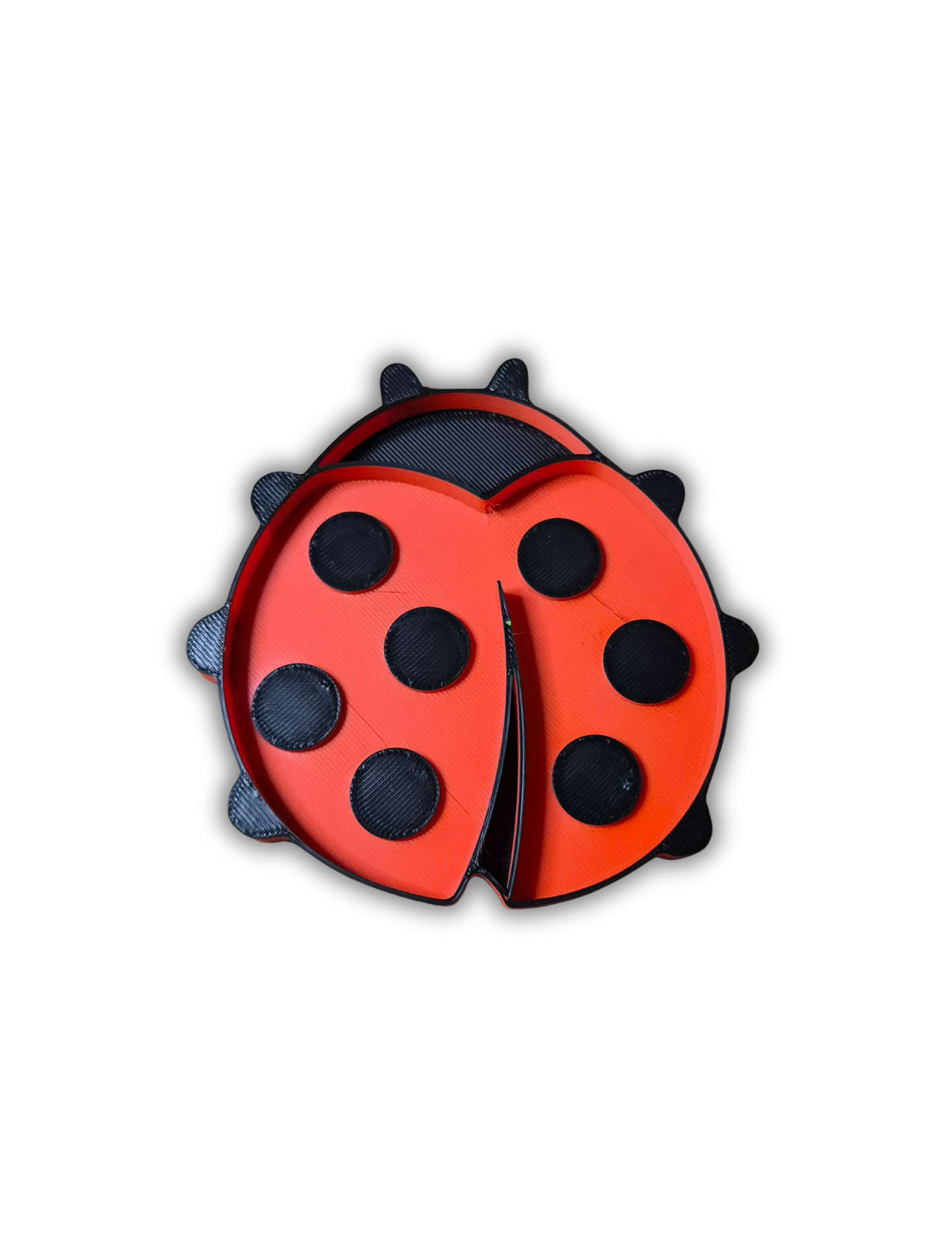 Thématique : Coccinelles