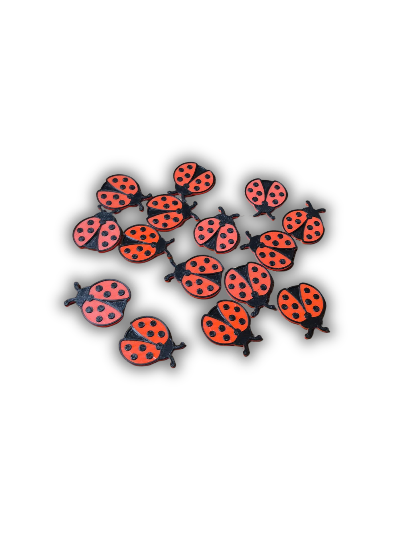 Thématique : Coccinelles