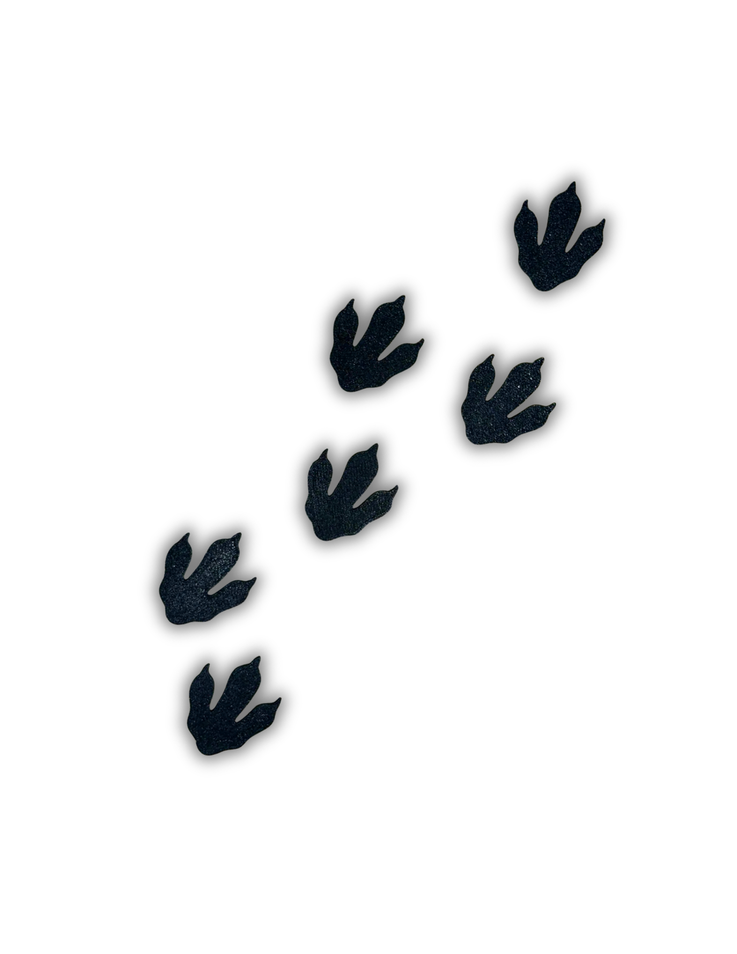 Thématique : Dinosaures