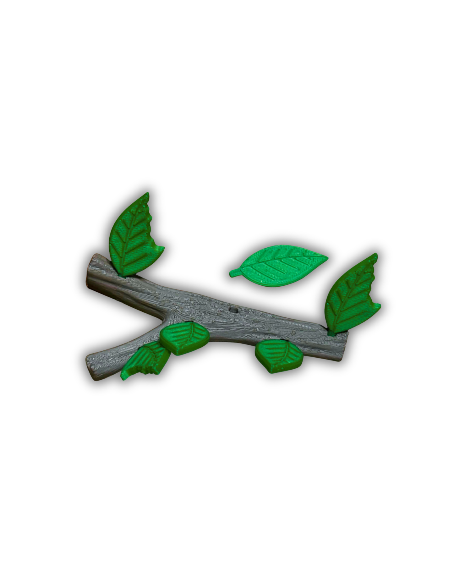 Thématique : Dinosaures