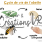 PDF  - Le cycle de vie des abeilles