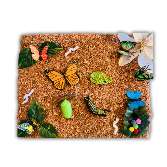 Bac sensoriel : Les papillons