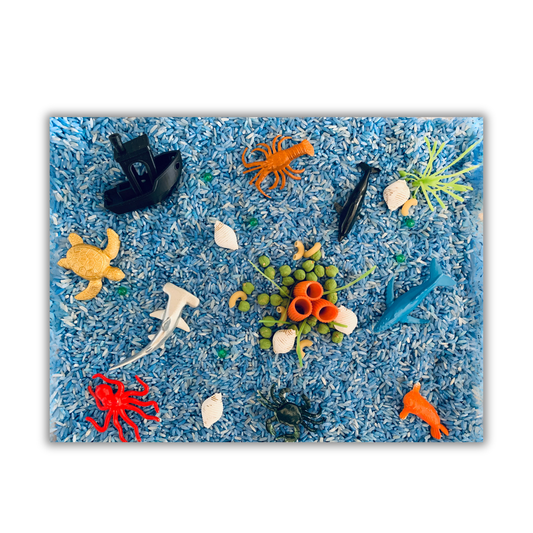 Bac sensoriel : Les fonds marins