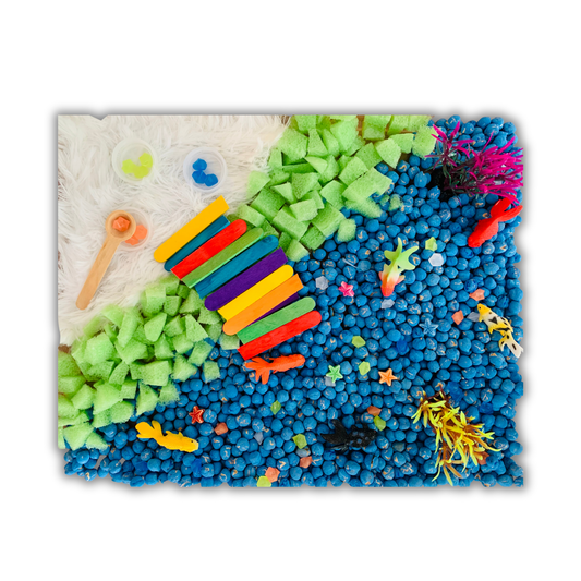 Bac sensoriel : Les poissons