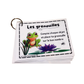 PDF (2) - Les grenouilles