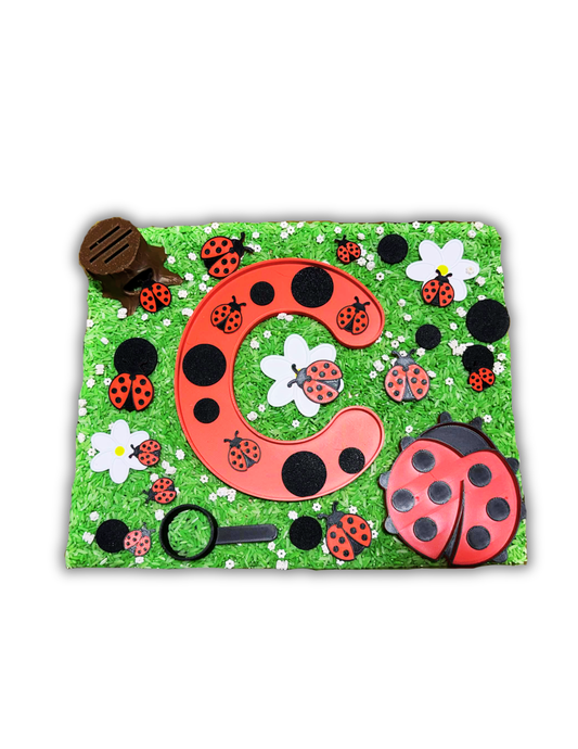 Thématique : Coccinelles