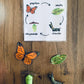 PDF (2) - Les papillons